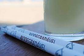 CANUDO JUMBO MILK SHAKE SACHE PAPEL TR (BIODEGRADAVEL) PCT C/100un (GLU GLU)