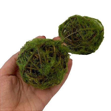 Kit com 2 bolas de vime com musgo P