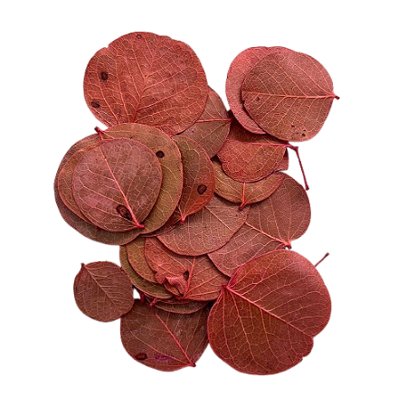 Pacote de Folha Moeda Seca. Cor: rosa seco