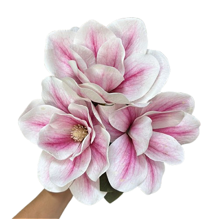 Ramalhete magnólia rosa