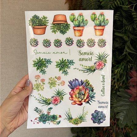 Adesivo para louças - Suculentas