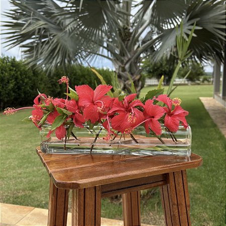 Floreira vidro 6 furos