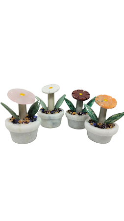 Vaso com Flor de Pedra