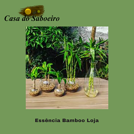 ESSENCIA BAMBOO LOJA