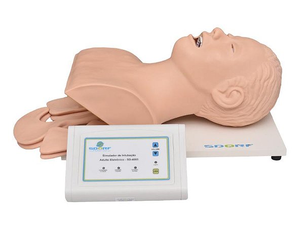 SIMULADOR DE INTUBAÇÃO ADULTO ELETRÔNICO SD-4005 - SDORF