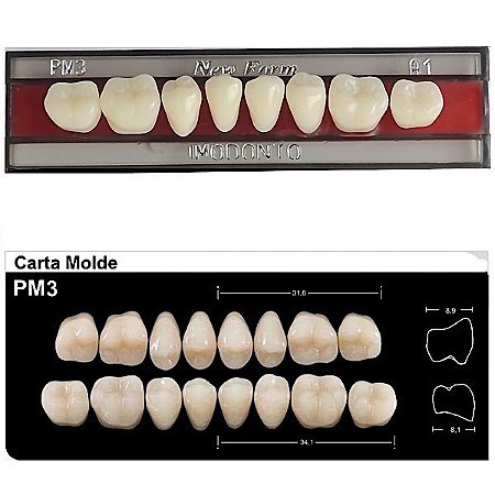Dente New Form Posterior PM3 Inferior - Imodonto