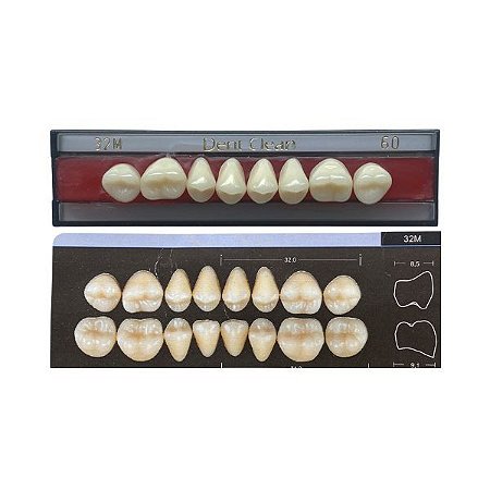 Dente Dent Clean Posterior 32M Superior - Imodonto