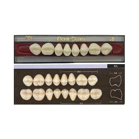 Dente Dent Clean Posterior 30L Superior - Imodonto