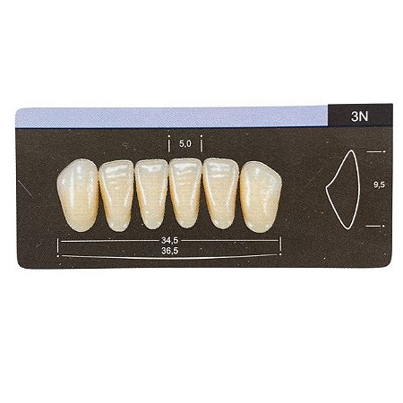 Dente Dent Clean Anterior 3N Inferior - Imodonto