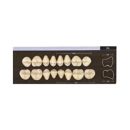 Dente Dent Clean Posterior 30L Inferior - Imodonto
