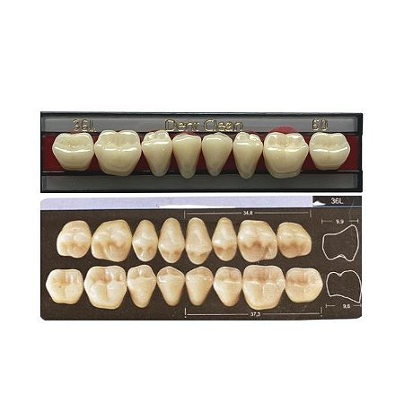Dente Dent Clean Posterior 36L Inferior - Imodonto