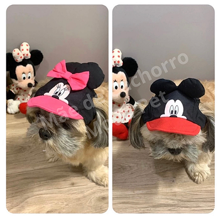 Bonés 3d | p/ machos ou fêmeas