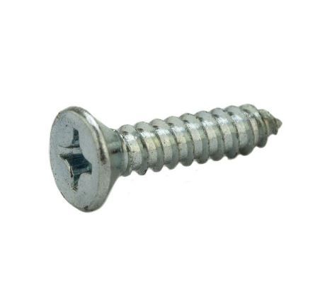Parafuso Auto-atarraxante 5.5 X 19 Phillips Chata Zincado Branco 100 Unidades