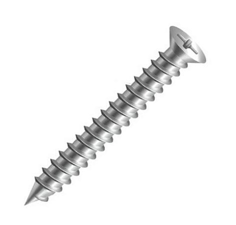 Parafuso Madeira 2.5x16mm Phillips Chata - 100 Unidades