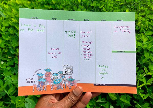 Planner semanal brejo organizado