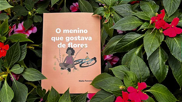 Livro - O menino que gostava de flores