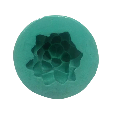 Forma de Silicone - Suculenta P