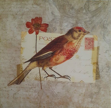 Gravura Coleção Pássaros  25 x 25 cm