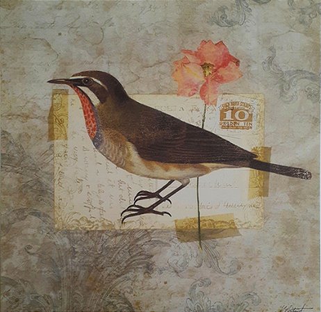 Gravura Coleção Pássaros II 25 x 25 cm