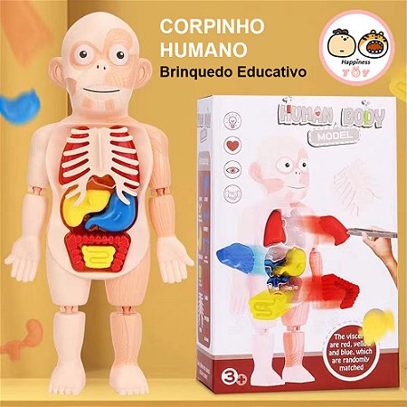 Brinquedo cientifico para crianças educativo órgão humano meu pequeno médico