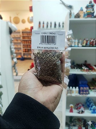 Erva Manjericão para Banhos Espirituais, Prosperidade e Harmonização