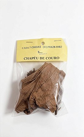 Erva Chapéu de Couro para Banhos Espirituais, Equilíbrio e Harmonização Energética