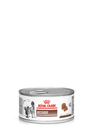 Alimento Úmido Lata Royal Canin Veterinary Recovery 195g