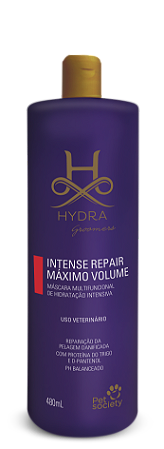 Hidratação Hydra Intense Repair Máximo Volume 480ml