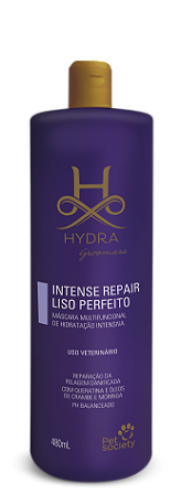 Hidratação Hydra Intense Repair Liso Perfeito 480ml