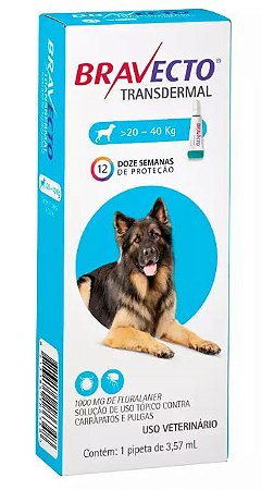 Antipulgas e Carrapatos Bravecto MSD Transdermal Cães 20 a 40kg