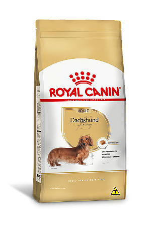 Ração Seca Royal Canin Adult Dachshund