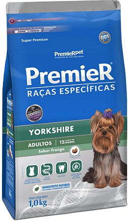 Premier raças específicas yorkshire filhotes Clearance