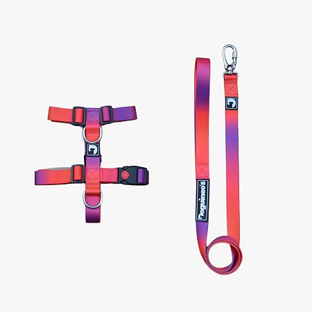 Kit Peitoral H antipuxão + Guia para cães - Summer