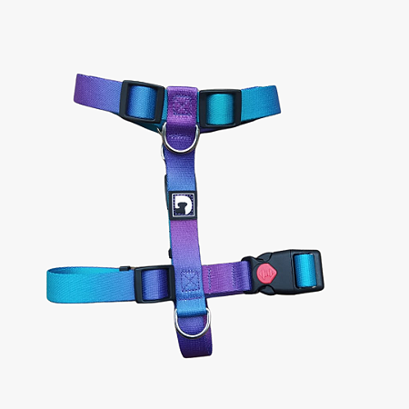 Peitoral H + Guia para cães - Ocean