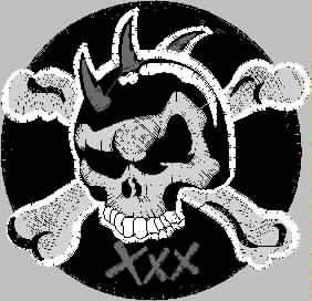 Patch Caveira 10x09 cm