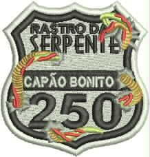 Patch Rastro da Serpente 08x07 cm
