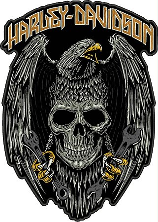 Patch Caveira Aguia HD