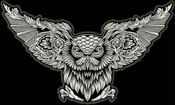 Patch Coruja