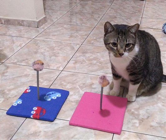 Brinquedo Arranhador Mola Divertida Para Gatos