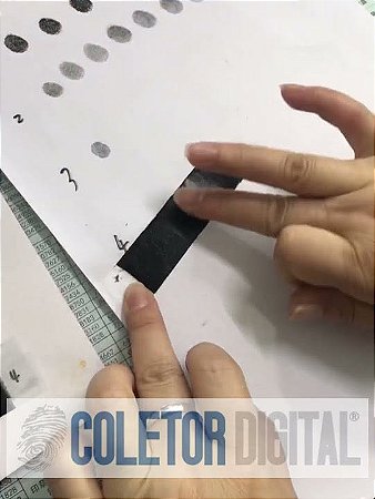coletor digital tiras descartaveis 12.7cm x 2.54cm pacote com 100 tiras SKU: FDIS101