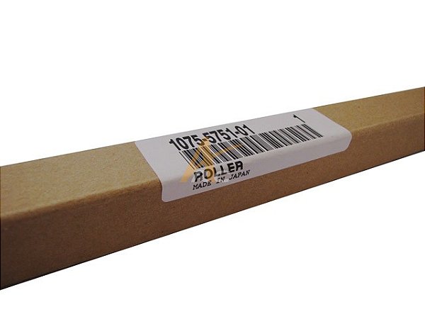 Rolo de Esponja (1075-5751-01)