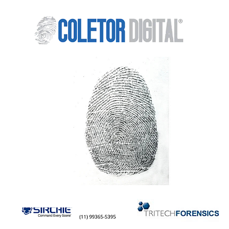 Pó magnético prateado para impressão digital (5gramas) BMP119 sirchie