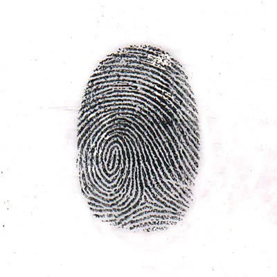 Pó Magnético Preto Forense para Impressões Digitais – 400 g