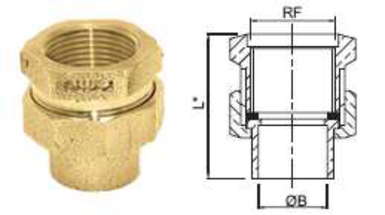 União Latão Aquecedor Bronze Ramo B 22 RF 22