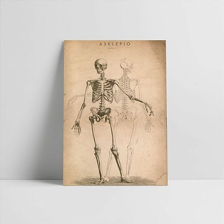Quadro Esqueleto Vintage Sem Moldura