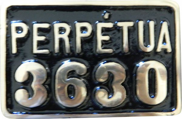 Perpétua em Bronze 8x12