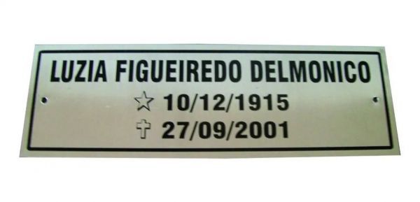 Placa em Aço Inox 10x30