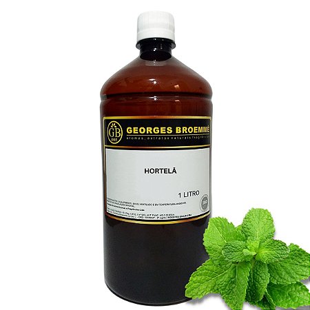 Essência Alimentícia Hortelã 1l Gb Aroma E Sabor