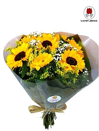 Buque de Girassol - Raio de Sol