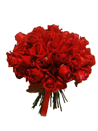 Buque de 50 rosas vermelhas importadas